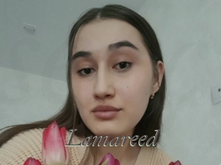 Lamareed