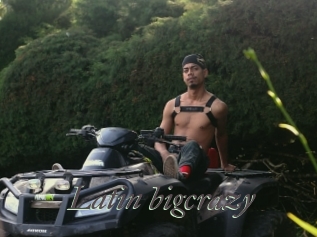 Latin_bigcrazy