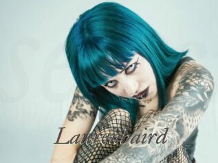 laurenbaird Sexcams city