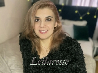 Leilarosse