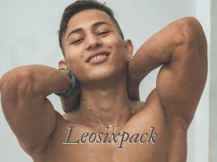 Leosixpack