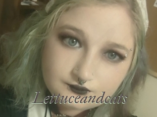 Lettuceandcats
