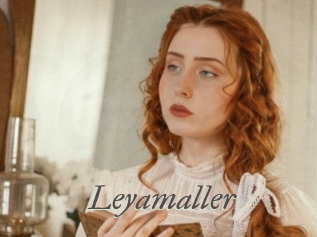 Leyamaller