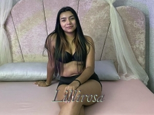Lillirosa