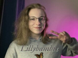Lillybambus