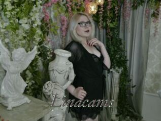Linacams