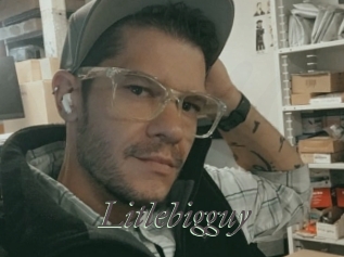Litlebigguy
