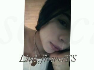 LittleflowerTS