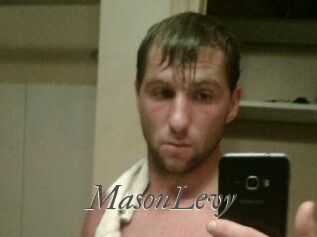 Mason_Levy