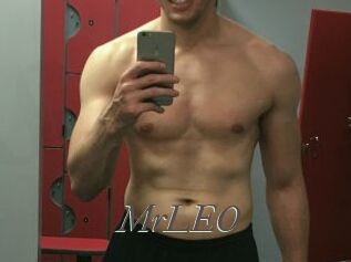 MrLEO