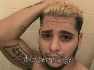 Mr_pervysage Sexcams city