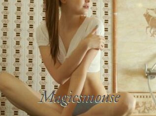 Magicsmouse