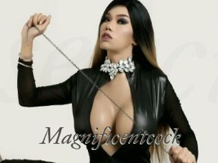 Magnificentcock
