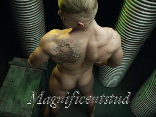 magnificentstud Sexcams city