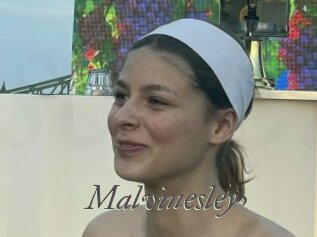Malvinesley