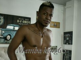 Mamba_king60
