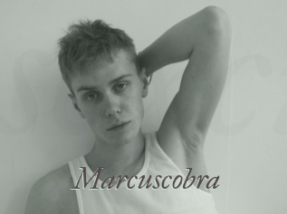 Marcuscobra