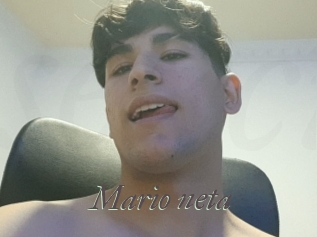 Mario_neta