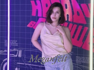 Meganfelt