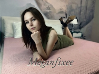 Meganfixee