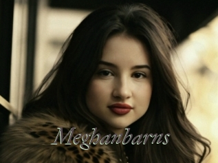 Meghanbarns