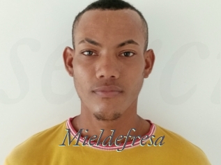 Mieldefresa