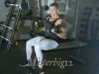 Misterbig12