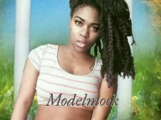 Modelmook