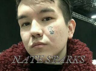 NATE_SPARKS