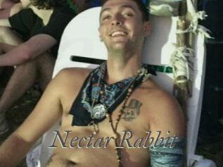 Nectar_Rabbit