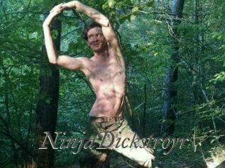 NinjaDickstroyr