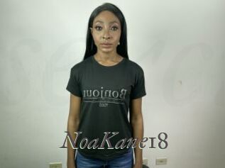 NoaKane18