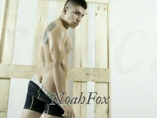 NoahFox