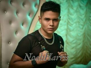 NoahHarris