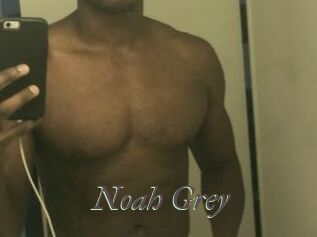 Noah_Grey