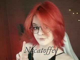 necatoffee Sexcams city