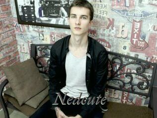 Nedcute