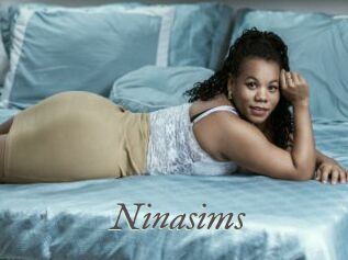Ninasims