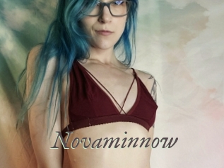 Novaminnow