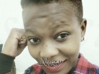 Nozy