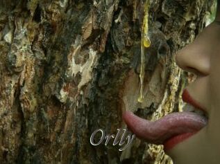 Orlly