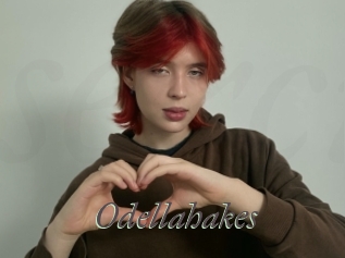 Odellahakes