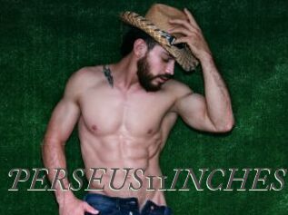 PERSEUS11INCHES Sexcams city