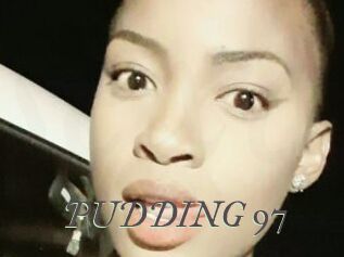 PUDDING_97