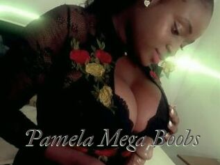 Pamela_Mega_Boobs
