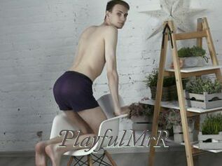 PlayfulMrR