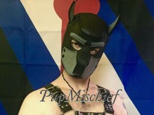 PupMischief