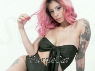 PurpleCat Sexcams city