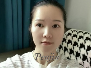 Penjin