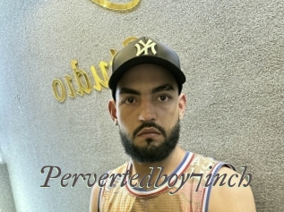 Pervertedboy7inch